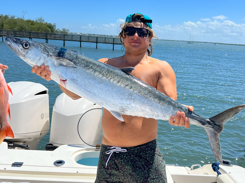 slider-gallery-kingfish1