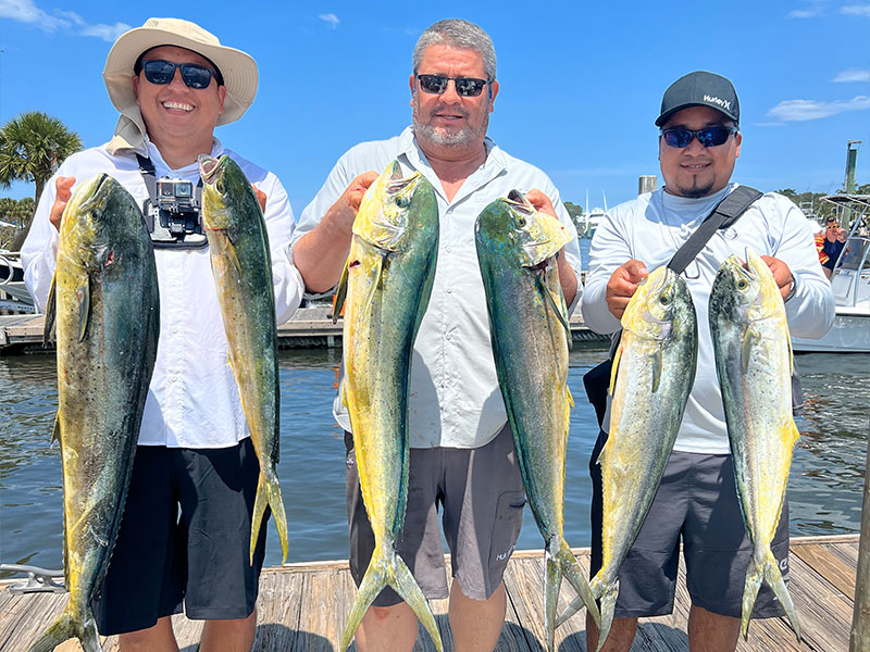 slider-gallery-mahi1