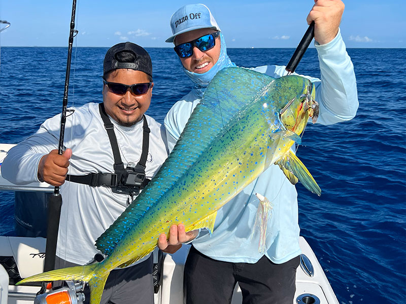 slider-gallery-mahi2