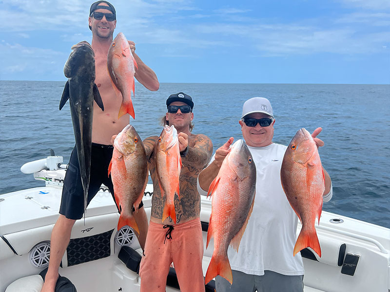 slider-gallery-muttons-cobia